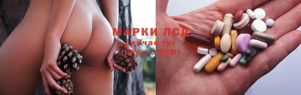 спайс Богородицк