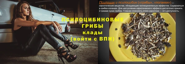 кокаин колумбия Богданович